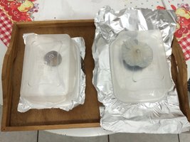 5 - os dois carimbos então vão pra um local escuro.JPG