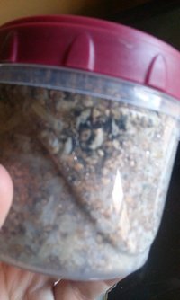 20170207_190658.jpg