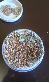 20170207_192442.jpg
