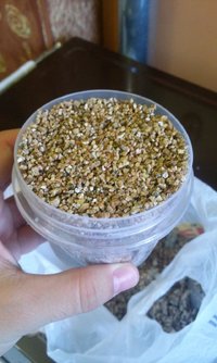 20170207_193111.jpg