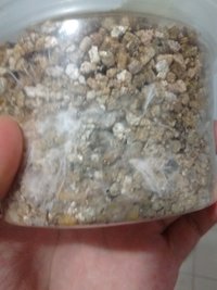 IMG_20170211_204452.jpg