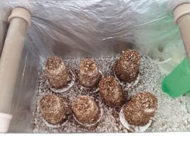 20170220_123426.jpg