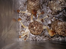 20170224_060158.jpg