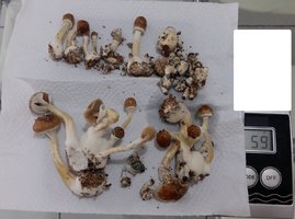 20170224_064232.jpg