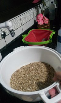 20170223_203534.jpg