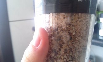 20170228_123726.jpg