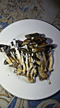 PicsArt_03-02-12.22.49.jpg
