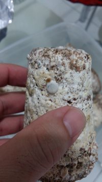 20170304_192107.jpg