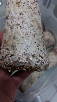 20170304_192113.jpg