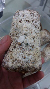 20170304_192119.jpg