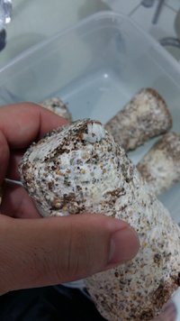 20170304_192138.jpg