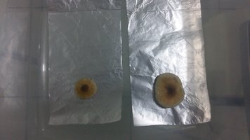20170310_230451.jpg