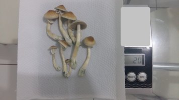 20170311_064707.jpg