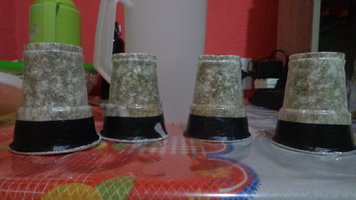 DSC00708.JPG