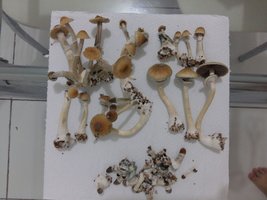 20170312_083557.jpg