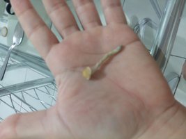 20170312_084646.jpg
