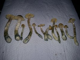 20170312_085821.jpg