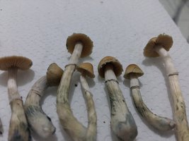 20170312_085857.jpg