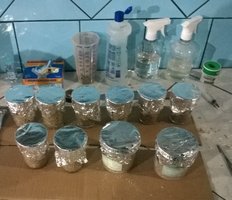COPOS PRONTOS PARAESTERILIZAÇÃO.jpg