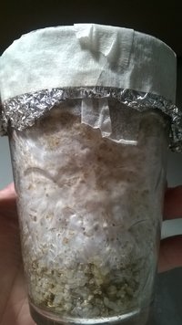 WP_20170314_009.jpg