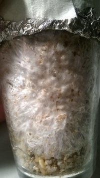 WP_20170314_017.jpg