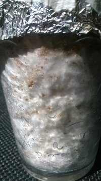 WP_20170317_002.jpg