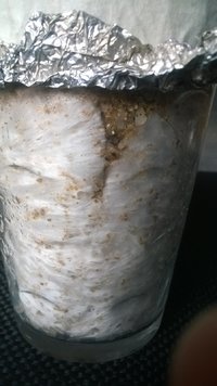 WP_20170317_008.jpg