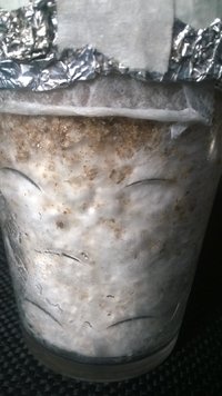 WP_20170317_010.jpg