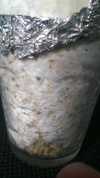 WP_20170317_020.jpg