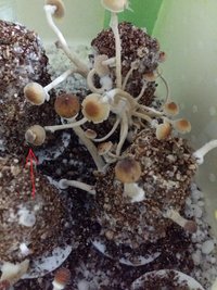 20170317_060918.jpg