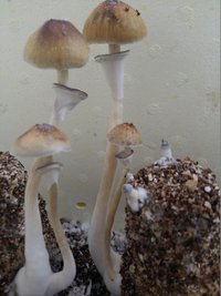 20170318_072616.jpg
