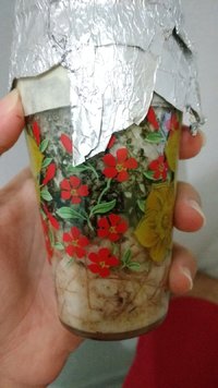 IMG_20170320_240157613.jpg