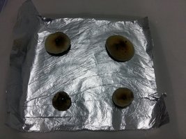 20170320_175723.jpg