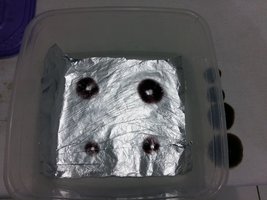 20170320_175815.jpg