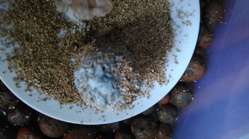 IMG_20170322_121651.jpg