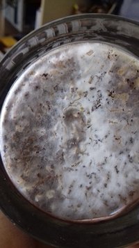 20170322_121830.jpg