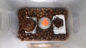20170324_123428.jpg