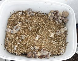 20170324_124936.jpg