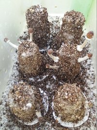 20170324_135738.jpg