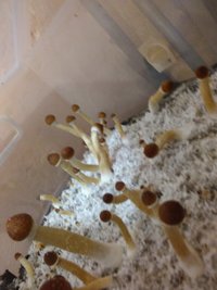 IMG_20170325_073536.jpg