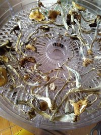 IMG_20170327_085833.jpg