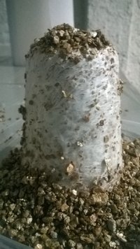 WP_20170327_013.jpg