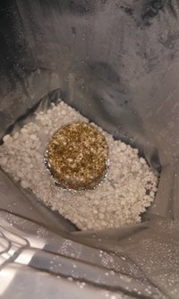 20170327_183709[2].jpg