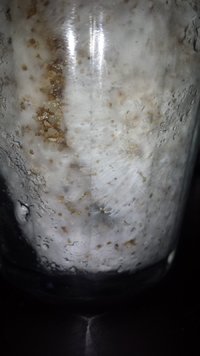 20170324_201440.jpg
