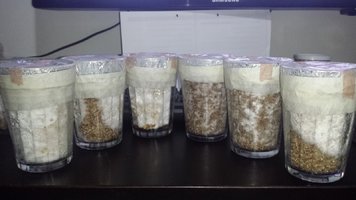 20170324_201620.jpg