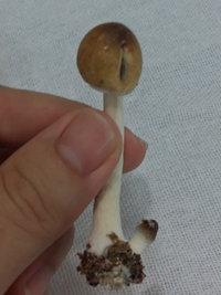 20170326_101718.jpg