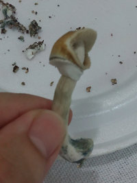 20170326_101747.jpg