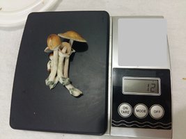 20170326_101935.jpg