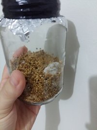 20170328_072927.jpg