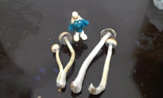 20170329_210213.jpg